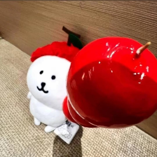 哦